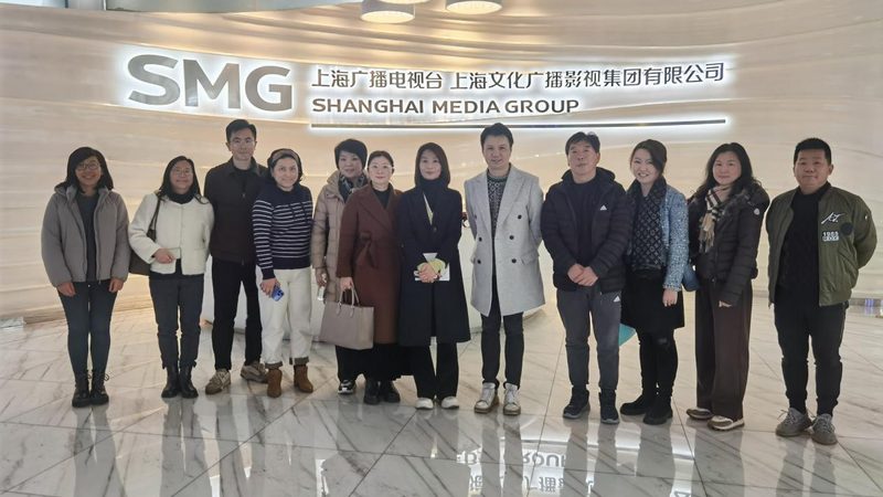 MG动画设计师：标准要求揭秘**